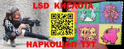 прущие грибы Канаш