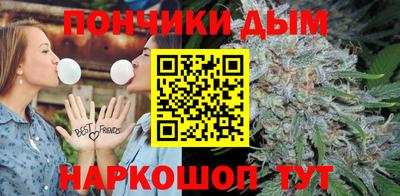дмт Камышлов