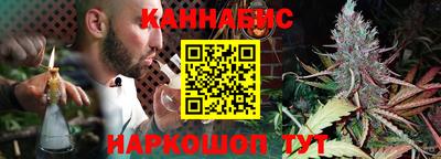 прущие грибы Канаш