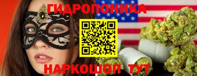 дмт Камышлов