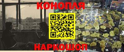 дмт Камышлов