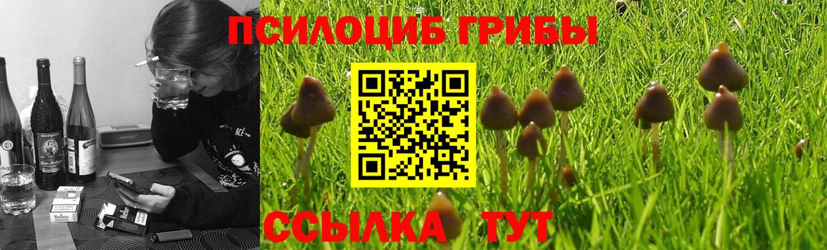 Псилоцибиновые грибы мицелий  как найти закладки  Фролово  Вход с VPN 